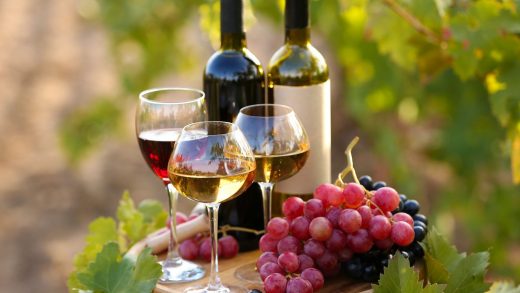 A combinação perfeita dos vinhos com pratos gastronómicos-blog-camoestv